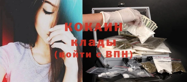 стаф Абинск