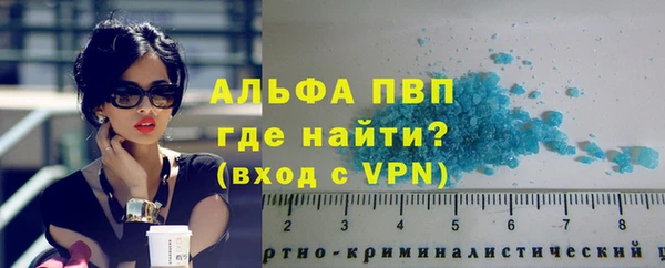 стаф Абинск