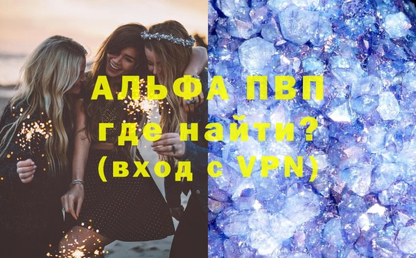 стаф Абинск