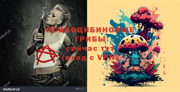 стаф Абинск