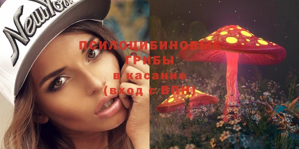твердый Покров
